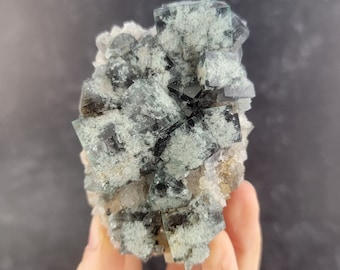May include: A cluster of green fluorite crystals with black inclusions. The crystals are cubic in shape and have a glassy luster. The fluorite is set on a bed of white quartz crystals.