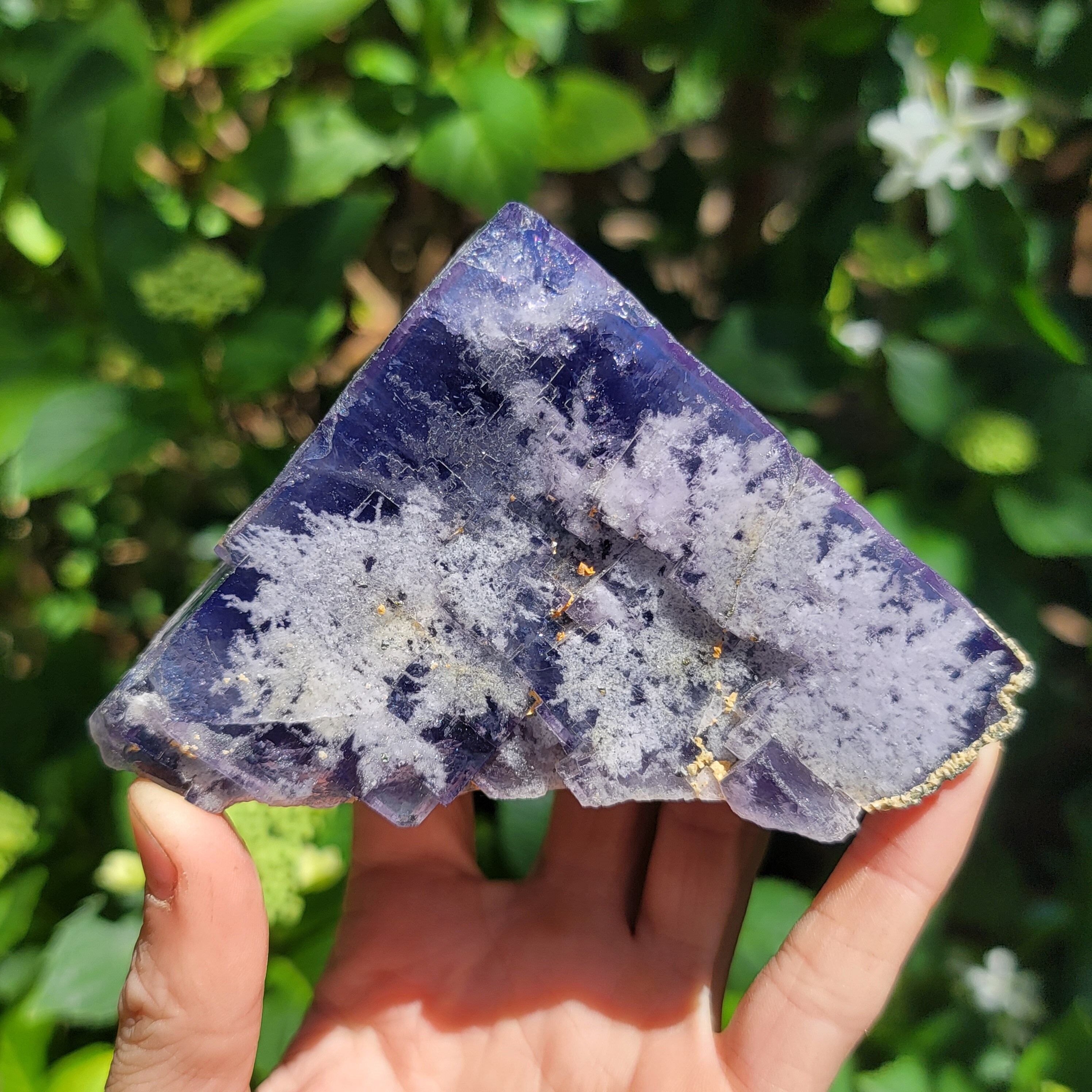 Fluorite + Quartz from Akwana Deposit, Logo, Benue, Nigeria Africa, Daylight + UV Reactive Specimen Purple Blue Phantom Fluorescent, Cubic
