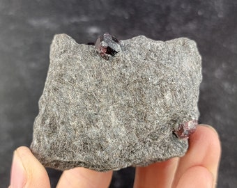 Almandine Garnet in Schist Matrix From Garnet Ledge, Wrangell