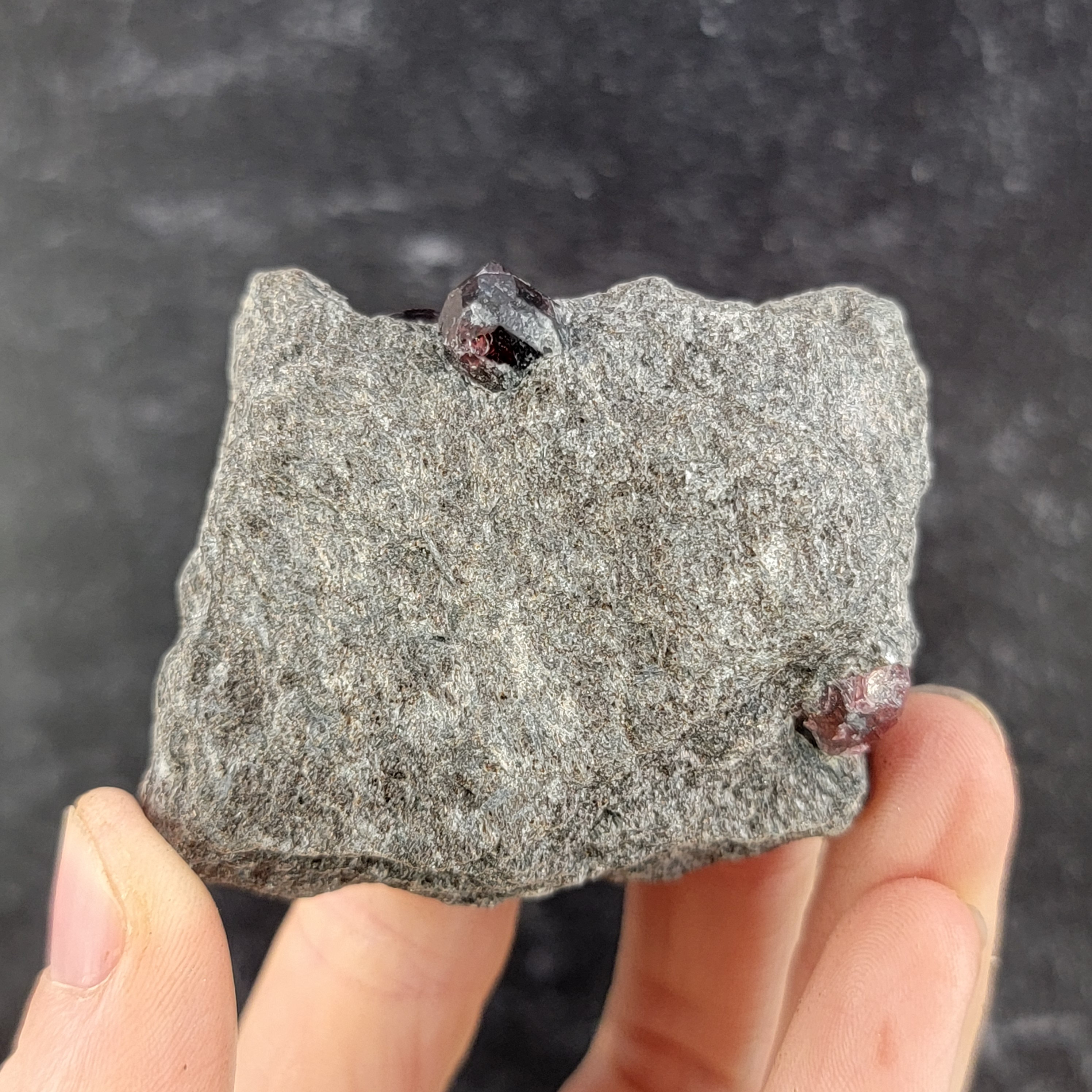Almandine Garnet in Schist Matrix From Garnet Ledge, Wrangell