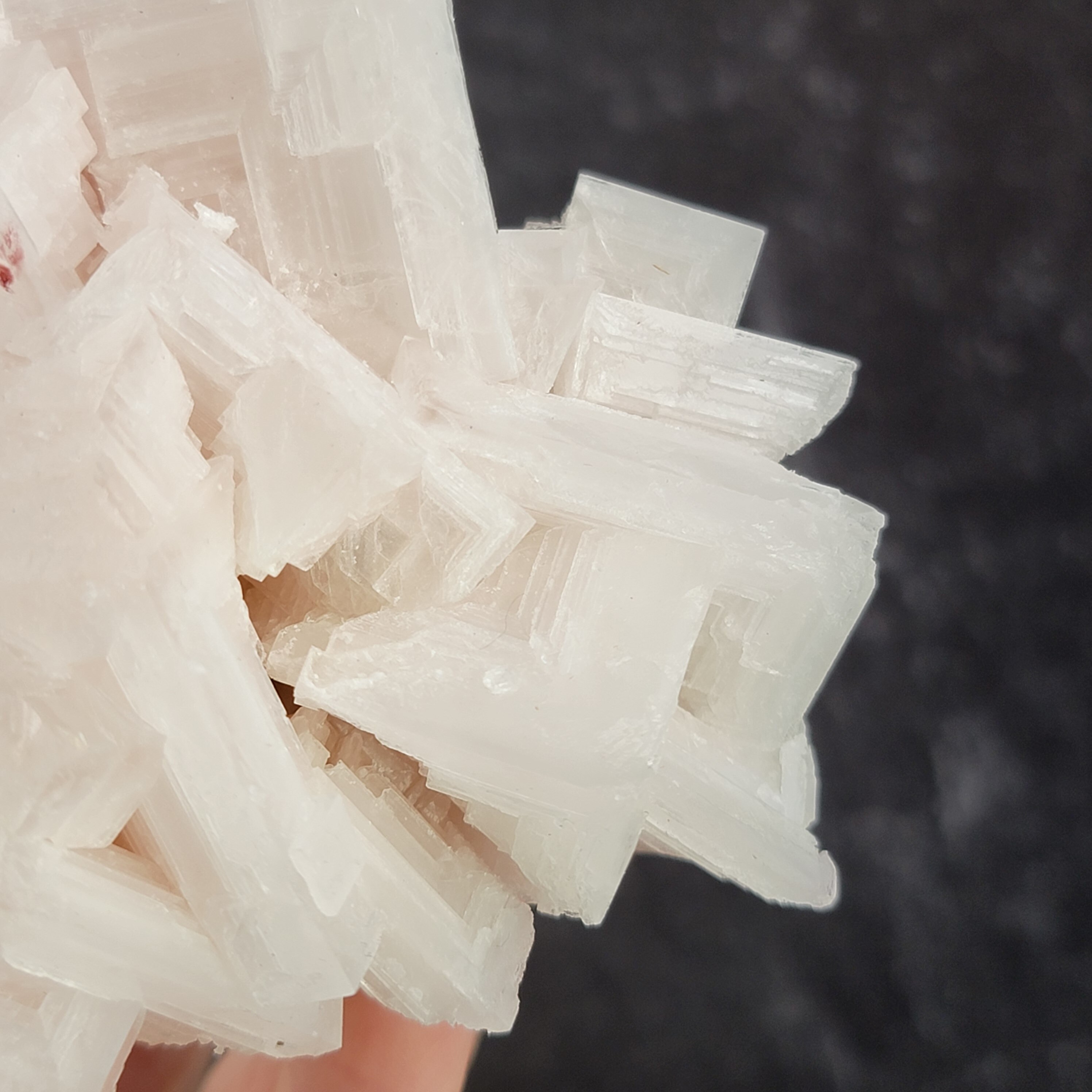 カリフォルニア州トロナのサールズ湖産の淡いピンクの岩塩クラスター