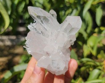 アーカンソー クォーツ クリスタル ポイント - 4 個購入で 1 個