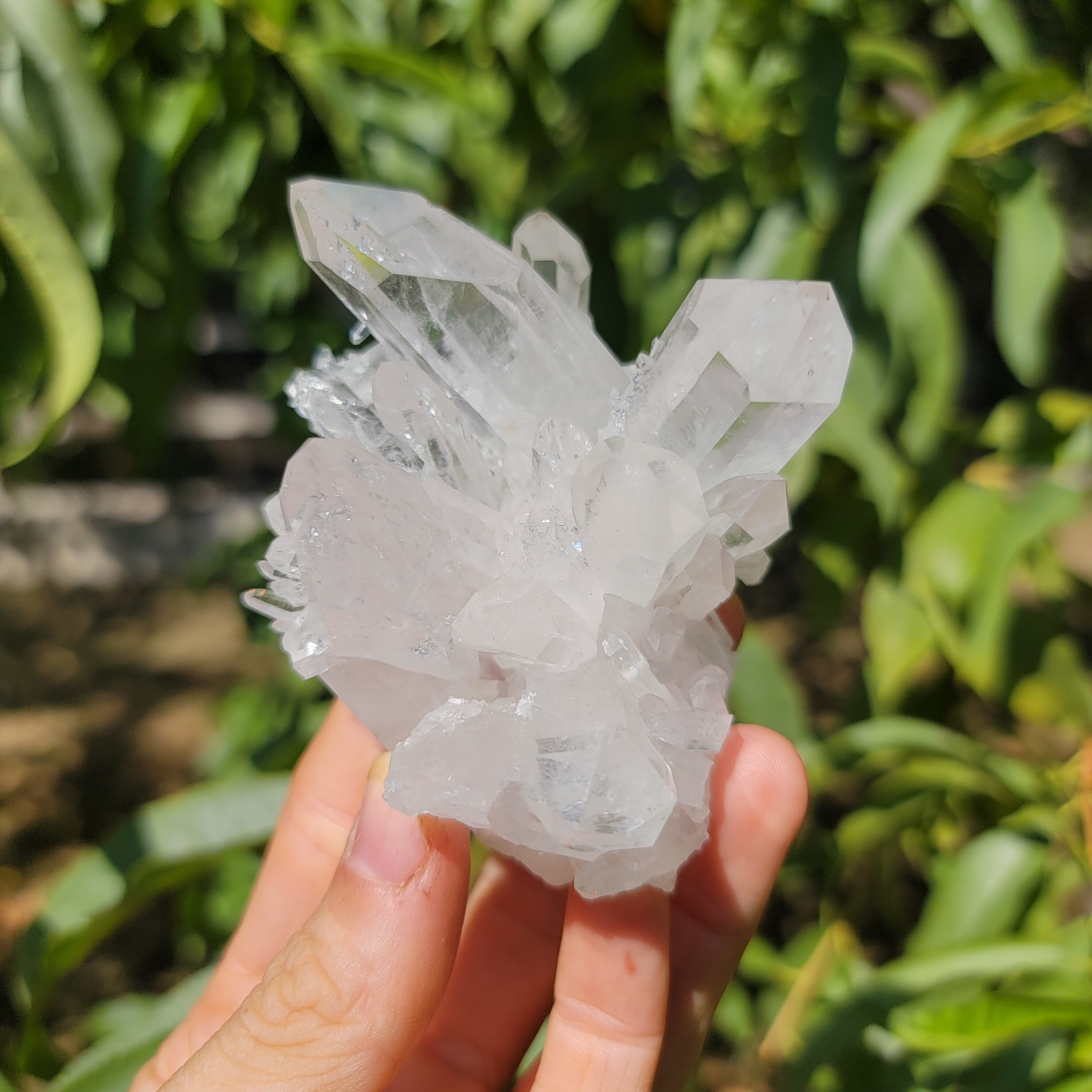 アメリカ、アーカンソー州産のクリアクォーツクラスター、アメリカン