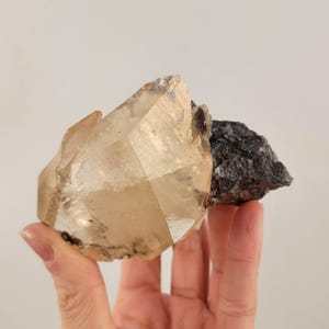 Golden Dogtooth Calcite with Sphalerite from the Elmwood Mine, Tennessee, USA, American Specimen
