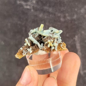 May include: A close-up of a mineral specimen featuring light blue and yellow crystal formations atop a brown and tan base. The mineral is displayed on a clear, circular stand against a dark background.