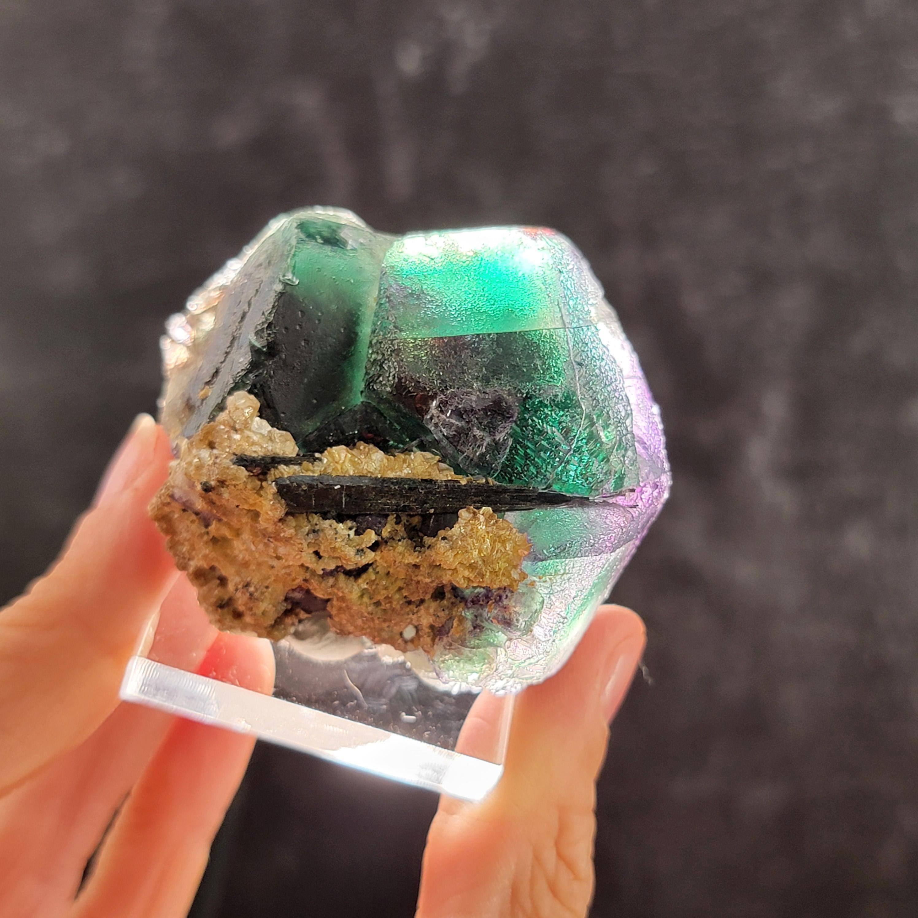 Alien eye fluorite - Etsy 日本