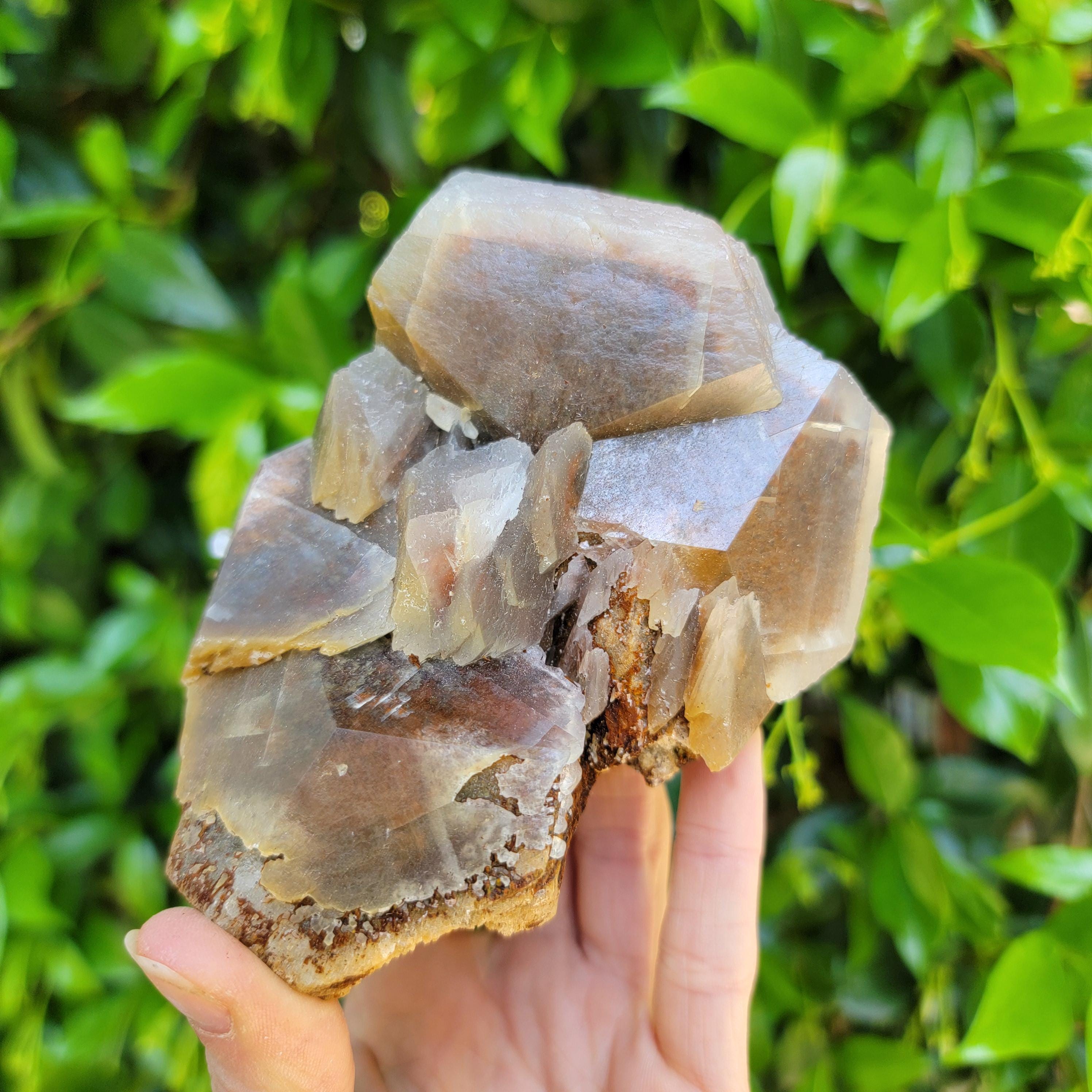 Poker Chip Calcite From Williamsville Quarry, Missouri, USA