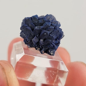 Azurite Crystal from Chessy Copper Mines, Chessy, Villefranche-sur-Saône, Rhône, Auvergne-Rhône-Alpes, France, French Mineral, European