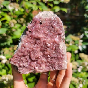 Large Lustrous Pink Cobalt Calcite Cluster from the Congo, Self Standing Pink Calcite