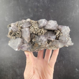 Op de afbeelding: Een cluster van paarse amethistkristallen met een ruwe, natuurlijke textuur. De kristallen zijn geclusterd in een ruwe, natuurlijke formatie.