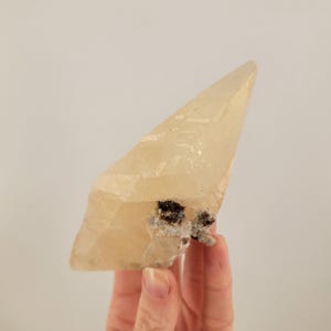 Double Terminated Calcite with Sphalerite from the Elmwood Mine, Tennessee, USA, American Specimen, Golden Yellow, Large Dogtooth