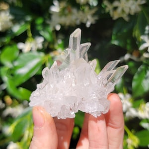 アメリカ アーカンソー州産 水晶クラスター アーカンソー州産 水晶クラスター 水晶 アメリカ アーカンソー州産 水晶クラスター アーカンソー州産 水晶クラスター 水晶