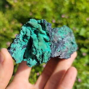 Malachit in Matrix aus La Paz County, Arizona, USA, altes Lagermuster mit Etikett