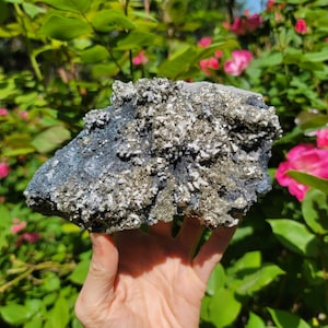 May include: A large, rough, gray and gold rock with white crystals. The rock is being held in a hand.