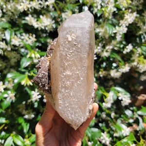Large Smoky Quartz Point on Mica from Brazil, Included Quartz, Partially Double Terminated