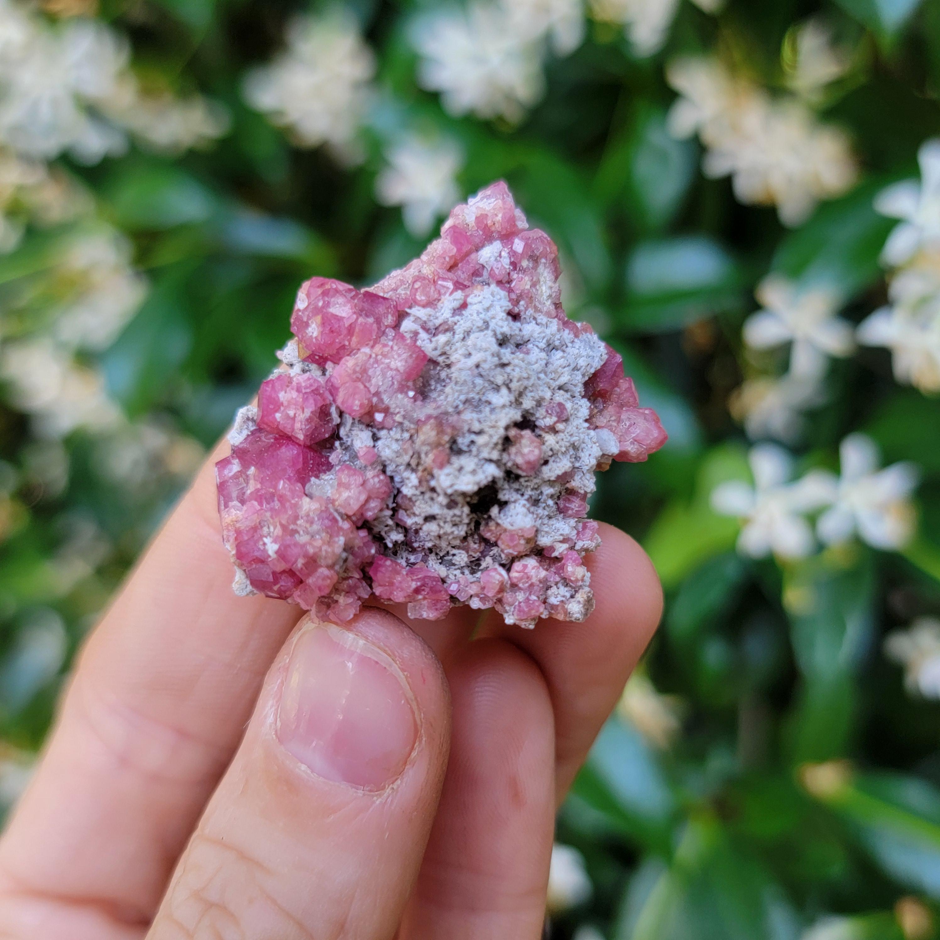 マトリックスのピンク グロッシュラー ガーネット、シエラ デ クルセス