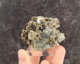 フルオロアパタイト - パナスケイラ鉱山 - ポルトガルの鉱物 - 希少