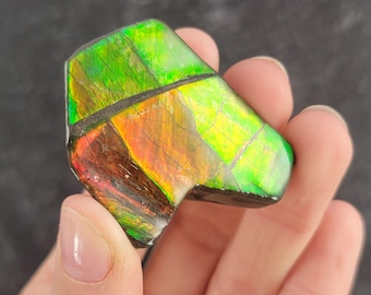 May include: A polished gemstone with a vibrant display of colors, including green, yellow, orange, and red. The stone has a layered appearance with visible patterns and a glossy finish. The gemstone is held in a hand.