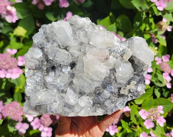 Gran exhibición de apofilita y calcedonia de la India, cúmulo de zeolita, calcedonia azul