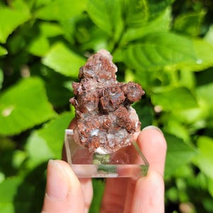 Hematite Included Calcite from Daye, Hubei, China, Dogtooth + Pagoda Calcite Crystals
