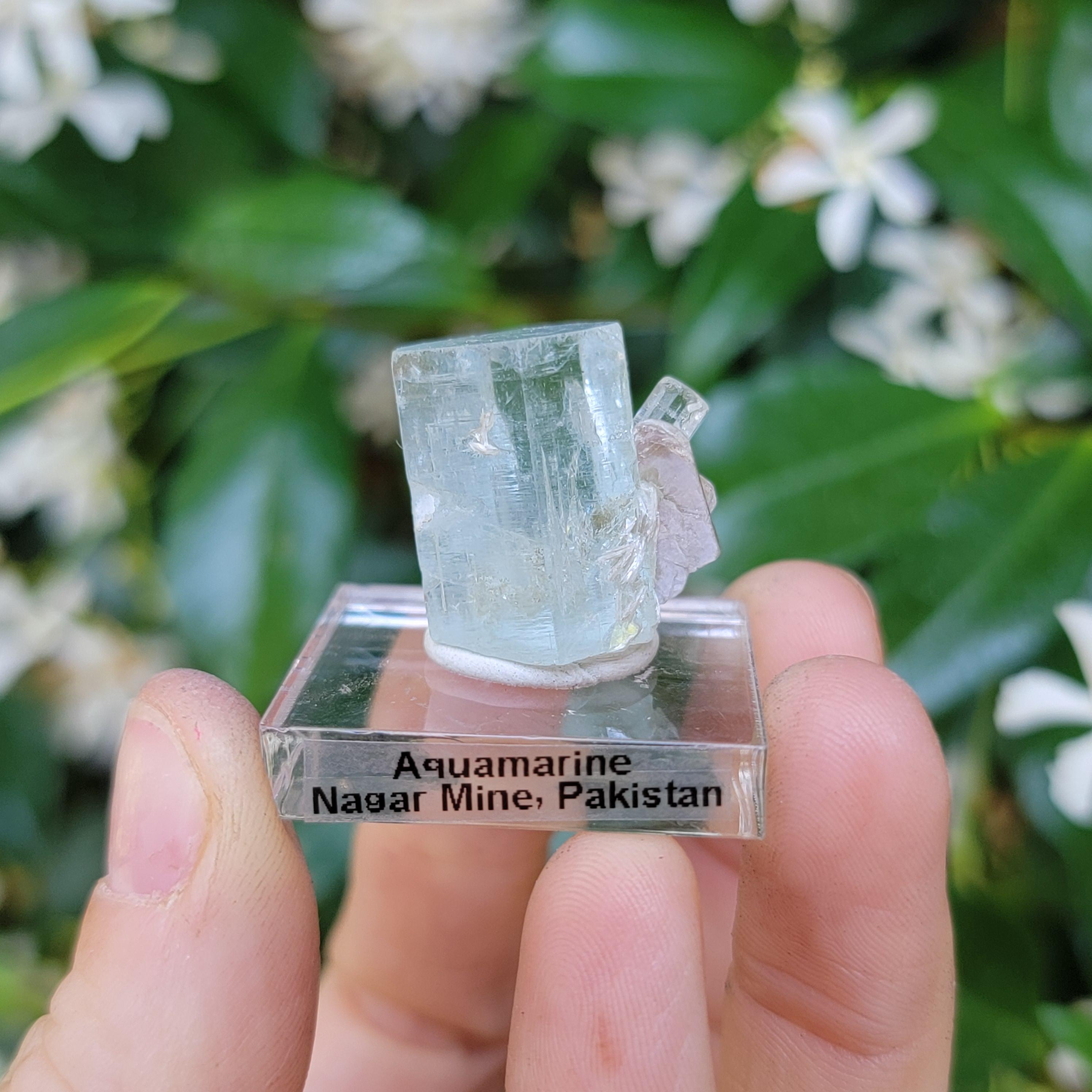 パキスタン、ギルギットのナガル鉱山産の雲母入りアクアマリン、ブルー