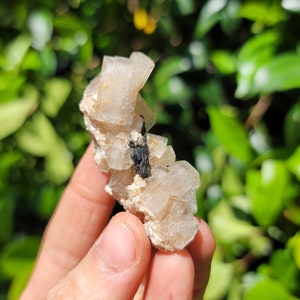 以下が含まれることがあります： 黒い鉱物包有物を含む透明で半透明な結晶の塊。結晶は塊状に配置され、一部の結晶は上向きになっている。結晶は緑色の背景に置かれている。