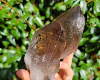 May include: A large, clear quartz crystal with brown and gold inclusions. The crystal is double-terminated and has a natural, rough surface.