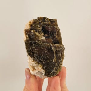 May include: A large, dark green and brown crystal with a layered, stacked appearance. The crystal has a rough, natural texture.
