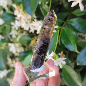 Phantom Smoky Quartz from Mount Malosa, Zomba, Malawi, Dark Gem Smokey Quartz Crystal, High Quality Specimen, African Crystal Specimen
