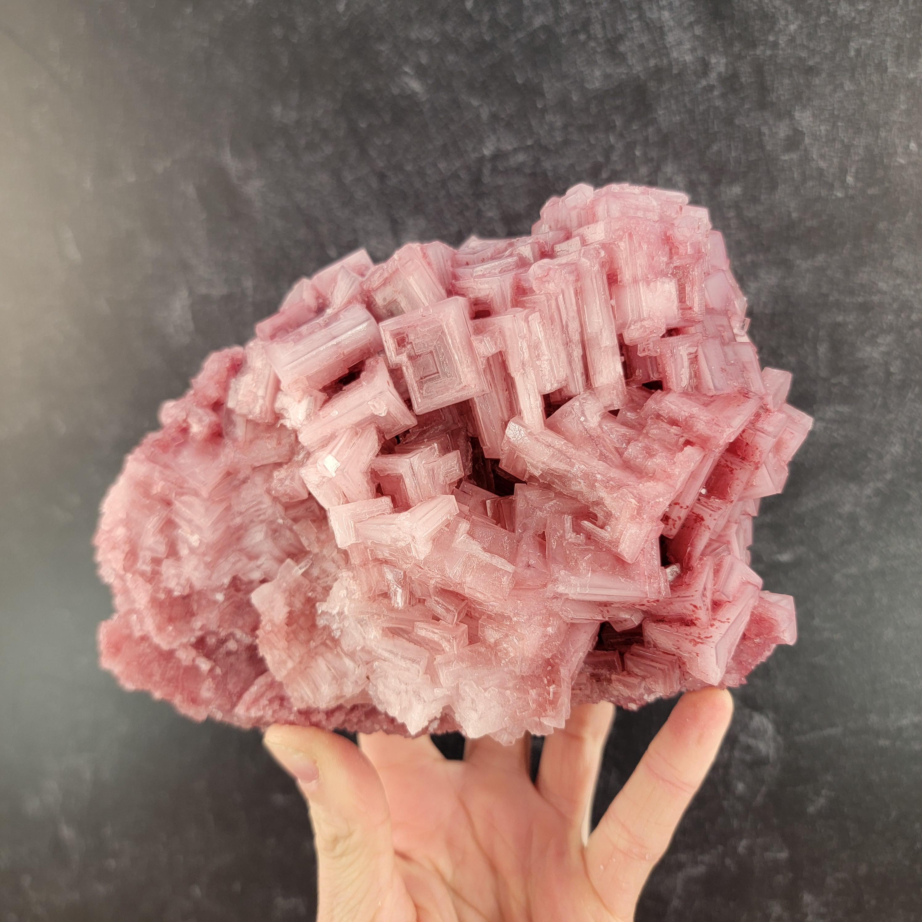 Self Collected Dark Pink Halite Cluster from Searles Lake, Trona, California, USA, Red Salt Crystal Specimen, Skeletal Hoppered 2024