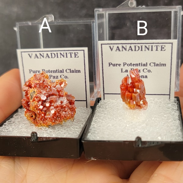 Vanadinite Perkies from Pure Potential Claim, La Paz, Arizona, USA, American Perky Mineral Red Specimen