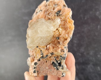 May include: A cluster of pink and white crystals on a dark gray matrix. The crystals are translucent and have a layered, fan-like structure.