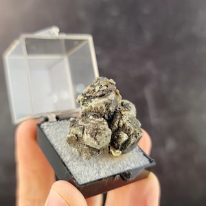 Pyrite with Iridescent Chalcopyrite from the Sweetwater Mine, Ellington Missouri, Perky Box, American Mineral Specimen