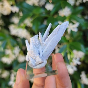 May include: A pale blue mineral specimen with a crystalline structure, mounted on a clear, rectangular base. The mineral has a textured, almost frosted appearance, with small, rounded formations. The background features green foliage and white flowers.