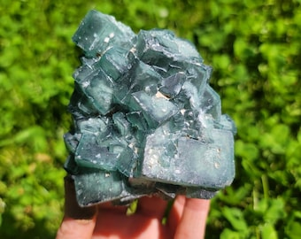 May include: A cluster of green fluorite crystals with a variety of sizes and shapes. The crystals are translucent and have a slight shimmer.