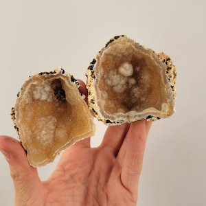 May include: Two halves of a geode with a light brown, white, and black interior. The geode is open and reveals a crystal formation inside.