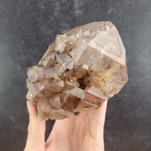 Elestial Smoky Quartz Cluster from Brazil, Phantom Alligator Quartz, Included