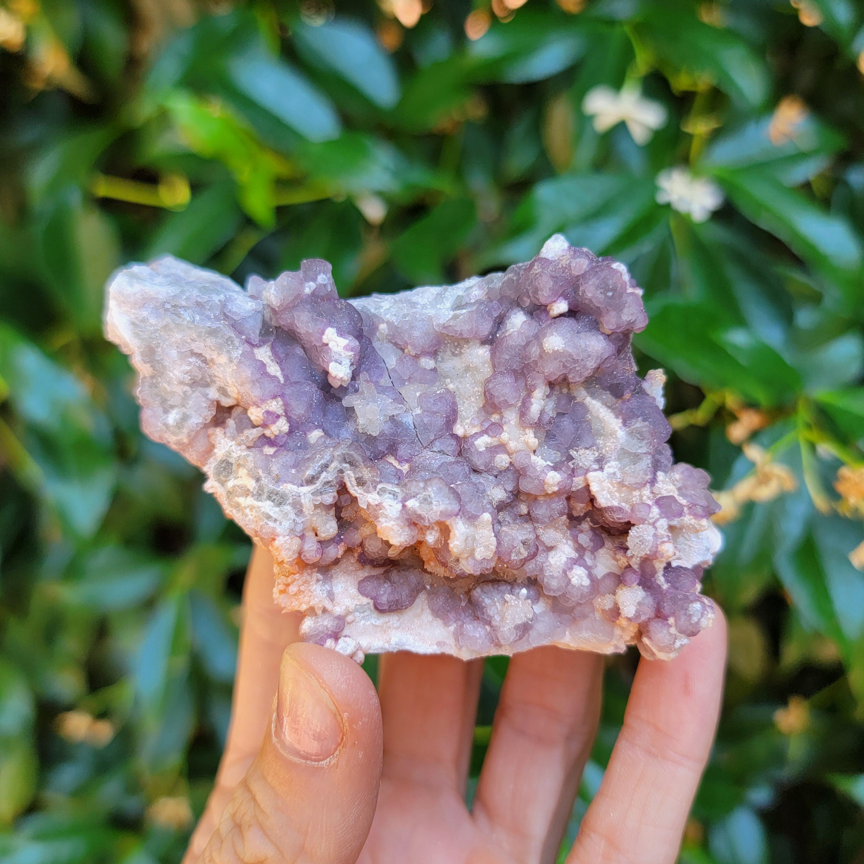 Purple + Green Fluorite With Quartz From Tombstone, Arizona, USA