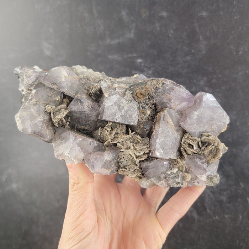 Op de afbeelding: Een cluster van amethistkristallen met een paarse tint en een ruwe, natuurlijke textuur. De kristallen zijn omgeven door een matrix van grijze en witte minerale insluitsels.