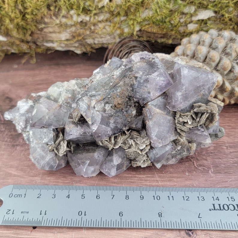 Op de afbeelding: Een cluster van paarse amethistkristallen met een grijze, witte en bruine matrix. De kristallen zijn scherp en goed gedefinieerd, en de matrix is ruw en getextureerd. De cluster is ongeveer 15 cm breed en 10 cm hoog.
