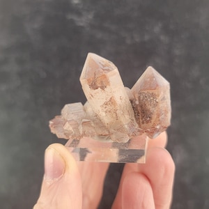May include: A cluster of quartz crystals with a reddish-brown hue. The crystals are held on a clear, rectangular base. The crystals have a natural, rough texture and are held by a hand.