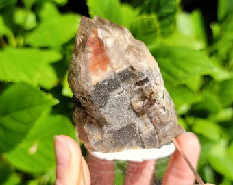 Fantomrökkvartspunkt från Malawi, inklusive Mount Malosa, Aegerine