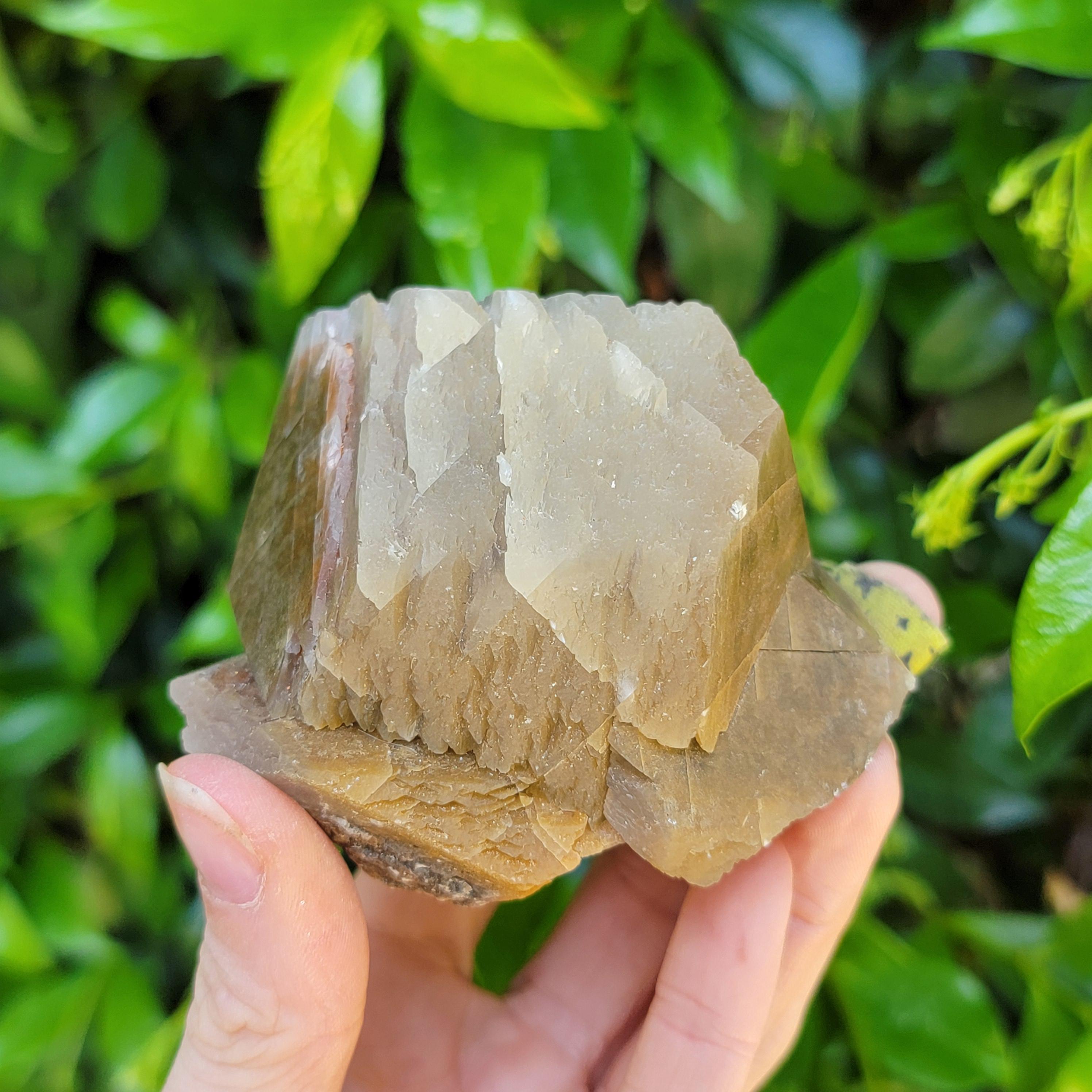 Poker Chip Calcite From Williamsville Quarry, Missouri, USA