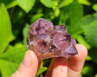 May include: A cluster of amethyst crystals with a purple and clear color variation. The crystals are clustered together in a natural formation.
