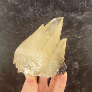 Dogtooth Calcite with Sphalerite from the Elmwood Mine, Tennessee, USA, American Specimen, Golden Yellow