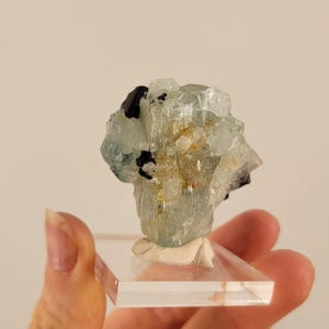 以下が含まれることがあります： 黒トルマリンのインクルージョンを含む、薄い青色のアクアマリンの結晶の塊。結晶は塊状に配置され、透明なアクリル製の台座に載せられています。