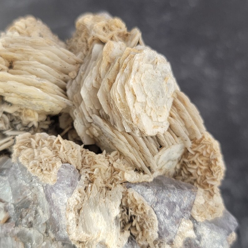 Op de afbeelding: Een cluster van witte selenietkristallen met een gelaagde, rozetvormige vorming. De kristallen zijn gerangschikt in een natuurlijk, organisch patroon, wat een uniek en prachtig beeld cre&euml;ert.
