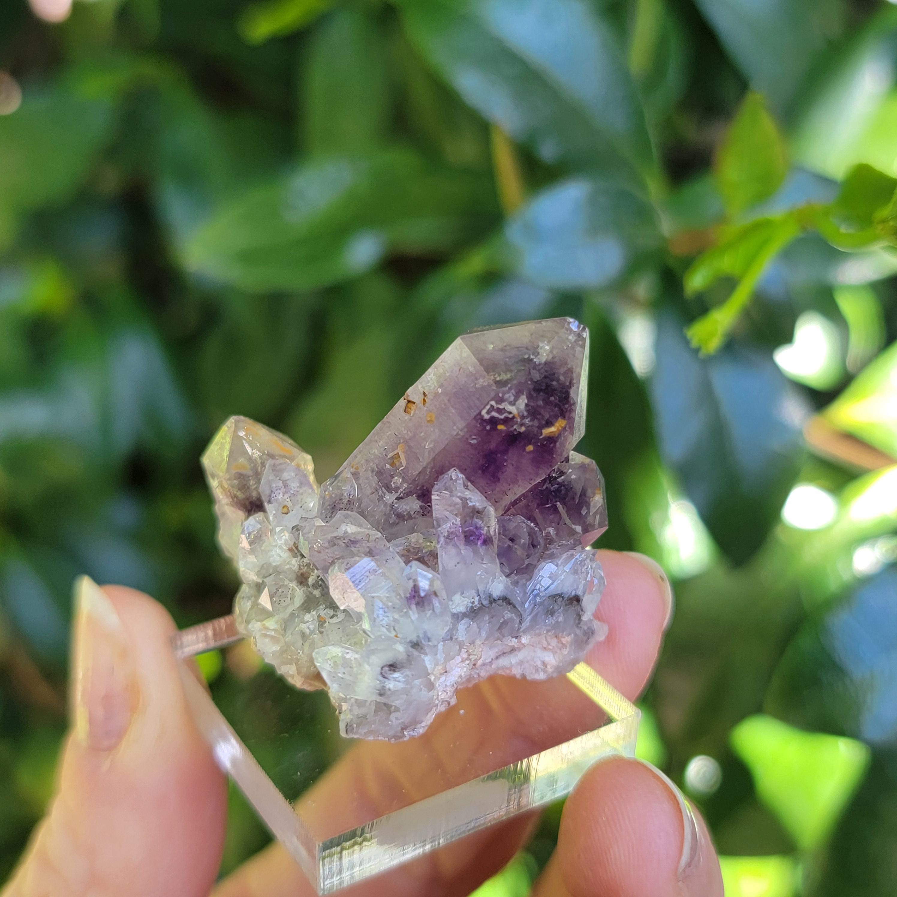 ナミビア、オレンジ川産アメジストクラスター、幻の紫水晶標本ポイント