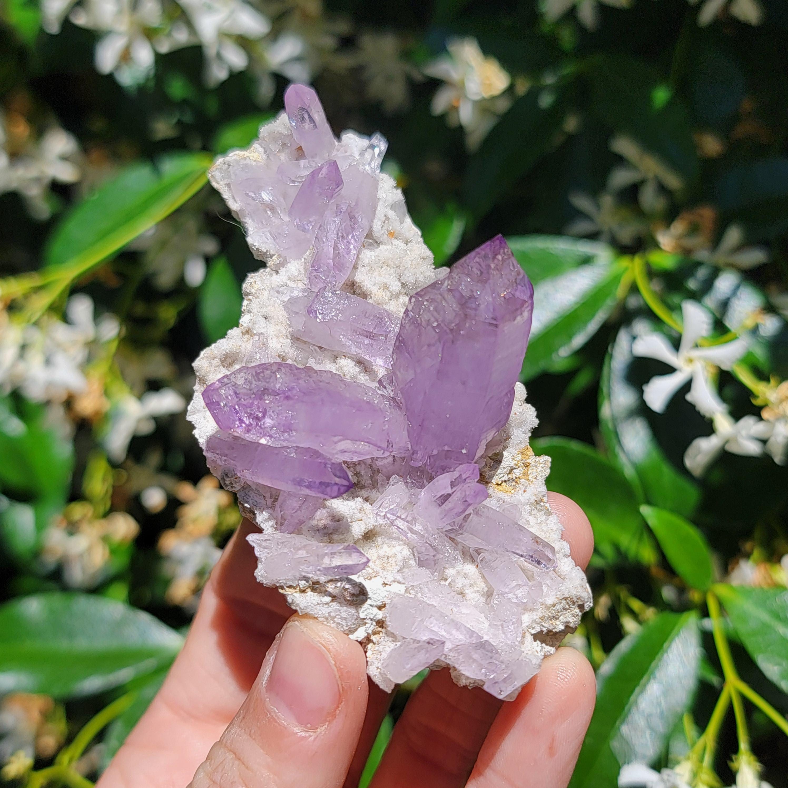 メキシコ、ベラクルス産アメジスト、紫水晶、笏付き、両終端 - Etsy 日本