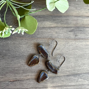 May include: A pair of artisan earrings with a teardrop shape, featuring a brown and blue glaze. The earrings hang from silver-colored ear wires. The jewelry is displayed on a wooden surface, with green foliage in the background.
